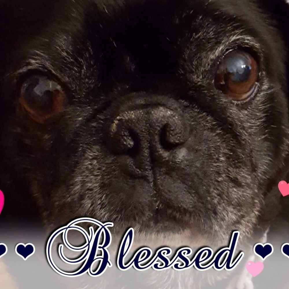 Meet your Posher, Jill